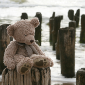 Teddy Bear by sea