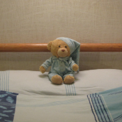 teddy-2090502